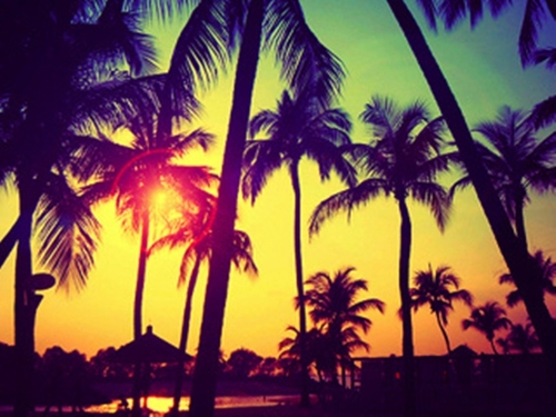 Cijfer_dropping's profile picture. wil jij weten wat anderen van jou vinden?, vraag dan of wij je ava willen droppen en laat hem beoordelen door anderen!