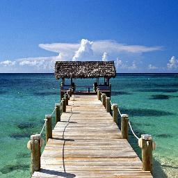 mat17jama's profile picture. 