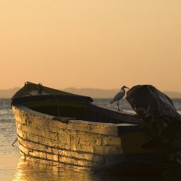 Marchons dans les pas de nos rêves, et vivons...
...avec intensité, lucidité et fraternité🌍