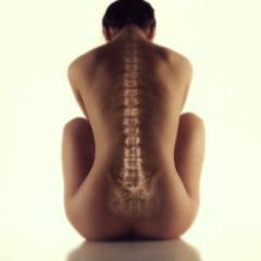 IPHChelpishere's profile picture. 