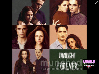 I LOVE THE TWILIGHT SAGA