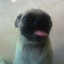 Michael Bens - @mbens000 - Twitter