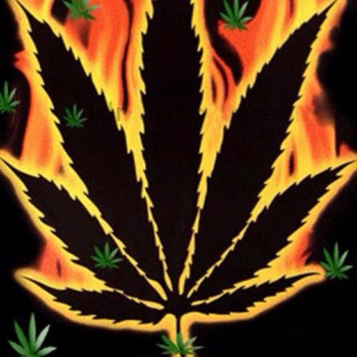 #TeamREALFollowBack I tweet that relatable stoner ish