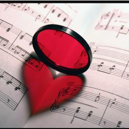 Com frases de músicas, vou falar de amor, dor, sentimentos em geral.