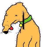 Wuf Wuf 
Follow @imgooby