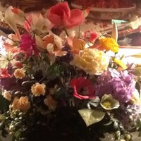 Michelle Jones (@mcbljones) 's Twitter Profile