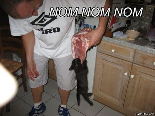 maxamas666's profile picture. 