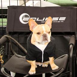 Here at Eclipse RV, Inc., we are focused on bringing you the very best value in toy haulers. Life is an Adventure… Take Your Attitude…