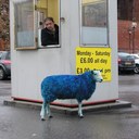 George Corbett - @linesofdesire - Twitter