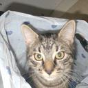 Claire McWilliams - @claire_mcw - Twitter