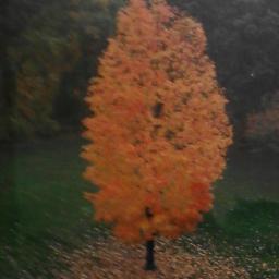 msssyoung's profile picture. Social Studies Teacher, Capital District Writing Project Teacher Consultant, Church Administrator, Professional aunt to a lot of cute children