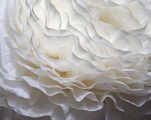 CJoeckel's profile picture. 