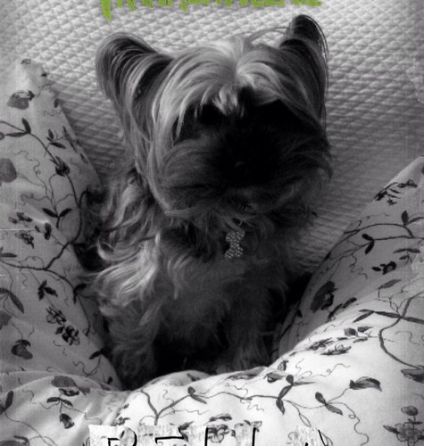 bobbysecert's profile picture. 