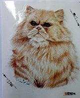 Patitavf's profile picture. 