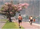 Bairro do Flamengo Rio de Janeiro RJ