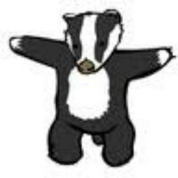 Badger Beyond (@badgerbeyond) 's Twitter Profile