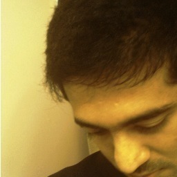 architect, designer....and a dreamer for a brave new world...
