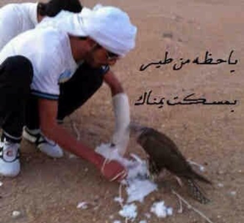 a7sassh3r's profile picture. ماهو بـ شرط تكون شاعر ۆحسّاس ! أهم شيء يكون , ؏ـندڳ ( مشاعر ) ! يا كم شٱعر كلمته تزعج .. النٱس ۆ يٱ گم وٱحد ذرب ماهو بـ شٱعر