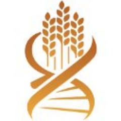 Dedicated to helping people live life wheat and gluten free