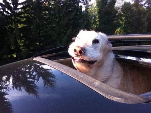 seanpburns's profile picture. 