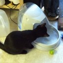 Sharon Chapin - @s_chapin48 - Twitter