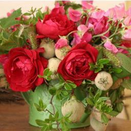 Anna Hoffmann Profile