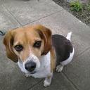 😎 - @JacquelineCrow - Twitter