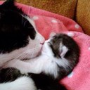 violeta bello - @violebello - Twitter