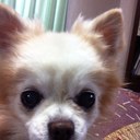 坂井 勇文 (@0205bazi) Twitter