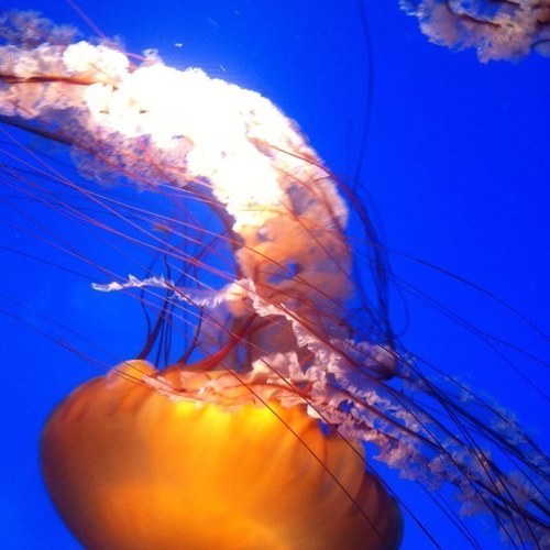 Jlynnhappy's profile picture. 