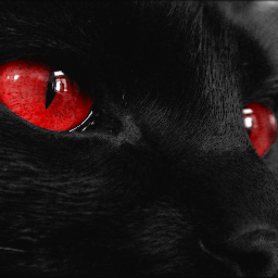 📸ig: @wxray0
«|✵|»♠Needles〄Kane™☠(©)
☆☆☆☆☆☆☆☆☆☆☆☆☆☆☆☆☆☆☆☆
https://t.co/6xoQTxkaQB
