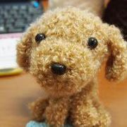 PoodleParadise's profile picture. 這是一個讓毛孩子交友的天地, 分享生活中的點點滴滴~ 歡迎所有的毛孩子一起來互相認識吧!

This is the community for dogs, welcome to join us and share anything about dog with us!