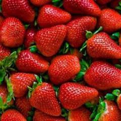 defenzamora's profile picture. Movimiento social, creado para la defensa de las tierras de alta productivida agrícola en el Valle de Zamora y su región.