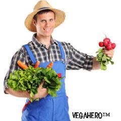 Vegan for a decade. Here to help anyone with any questions. http://t.co/AnoUfo7P / http://t.co/qB1aUVgO. We can help in a non judgmental way.