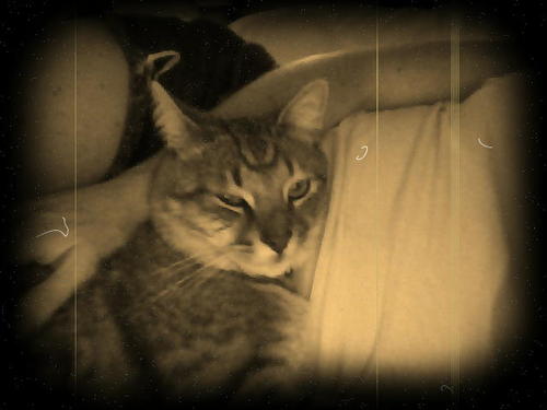 WhoseyWhatsey's profile picture. Imperfect and full of sass