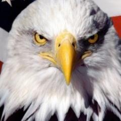 MajR0d's profile picture. Unabashedly American & not embarrassed about it. Retired Infantry Officer, Husband, Patriot, Recovered New Yorker.