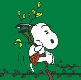 dsgrdgrd's profile picture. 맥주 달리기