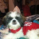 lois waggoner - @loismwag - Twitter