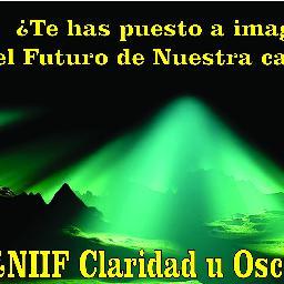 Te has puesto a imaginar el futuro de la Contaduria Publica con la implementacion de las Normas internacionales de Información Financiera en Colombia?