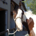 Madison Randall - @paigemadison213 - Twitter