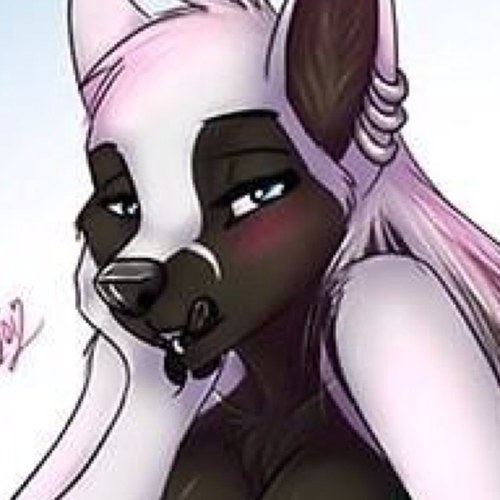 Hello! im Inoue im a very nice girl! ^.^ im silly and pretty um odd! i kinda embarrass myself like all the time XD hehe #Single #Bleachgirl #TeamWeirdo :D :3 B)