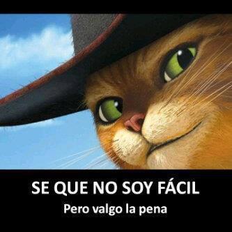 DullisDario's profile picture. 