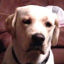 ralph - @Ralph_Randolph - Twitter