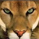 Brian Wind - @brianwind2 - Twitter