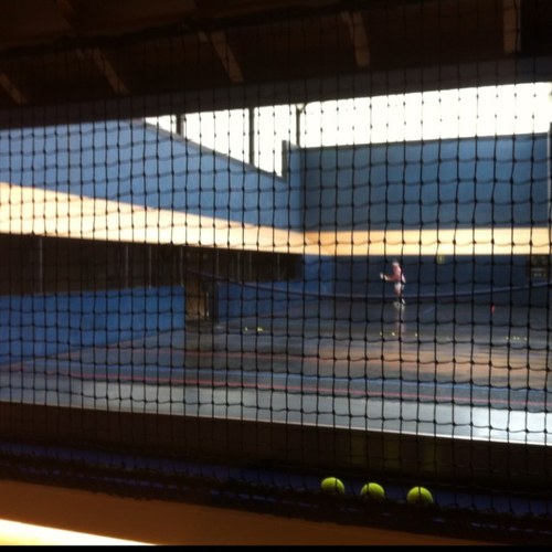 RealTennis's profile picture. 