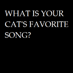 mindtrollintern's profile picture. This is a twitter about the band mindtroll, not any other mindtrolls.