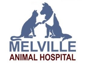 MelvilleAnimal's profile picture. Melville Animal Hospital provides a modern, high standard medical & surgical service for your pets. Reach us at : 08 6500 1069