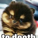 jimmy wiley - @jimmywiley187 - Twitter