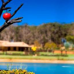 A unique winery in the Margaret River wine region, with brilliant award winning wines.