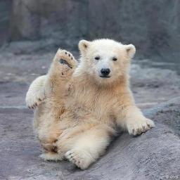 ilnur_sharapov Profile Picture